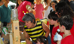 observation hive at UMD Day